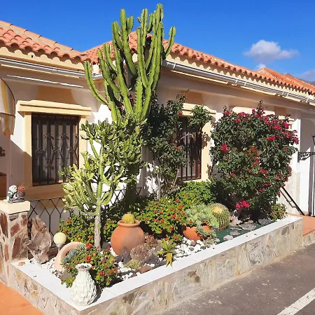 Nice Apartment With Heating Pool. Costa Adeje  Exterior photo