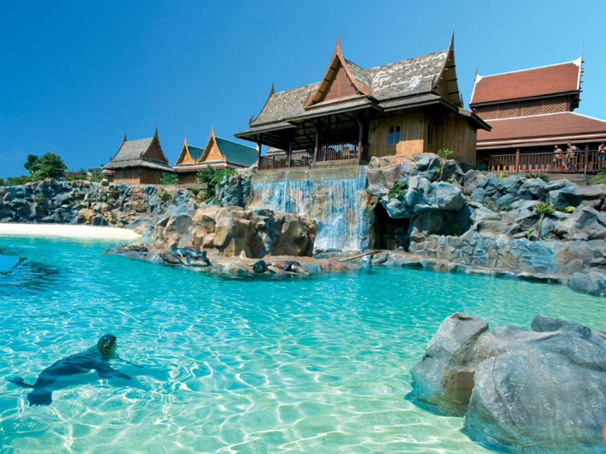 With Heating Pool. Costa Adeje (Tenerife)